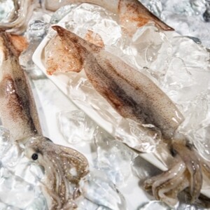 국내산 생물 급냉 통찜용오징어1kg