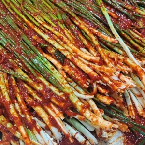 26년전통 귀빈정 국산고추가루 진심 파김치1KG