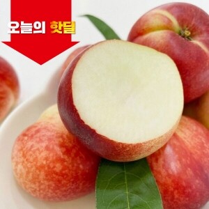 [06/18 5시 OPEN][핫딜] 경산 산지직송 신비복숭아
