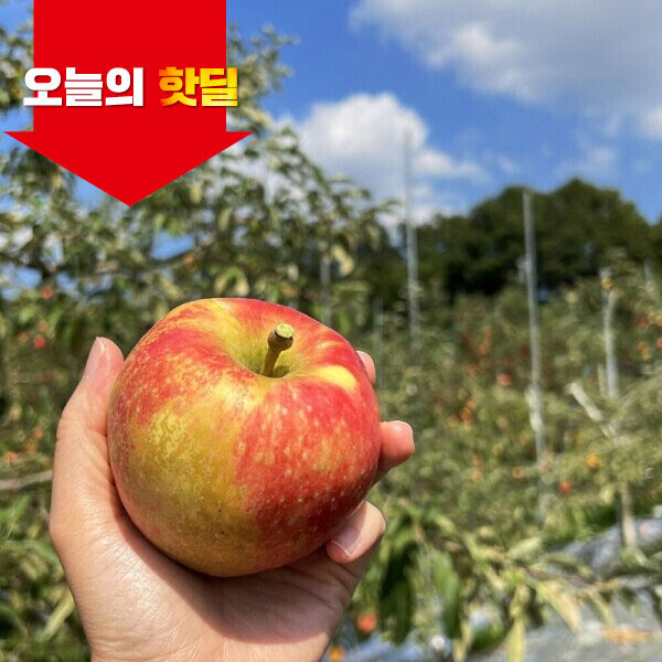 우주스토어,[06/18 5시 OPEN][핫딜] 경북 산지직송 가정용 부사 사과